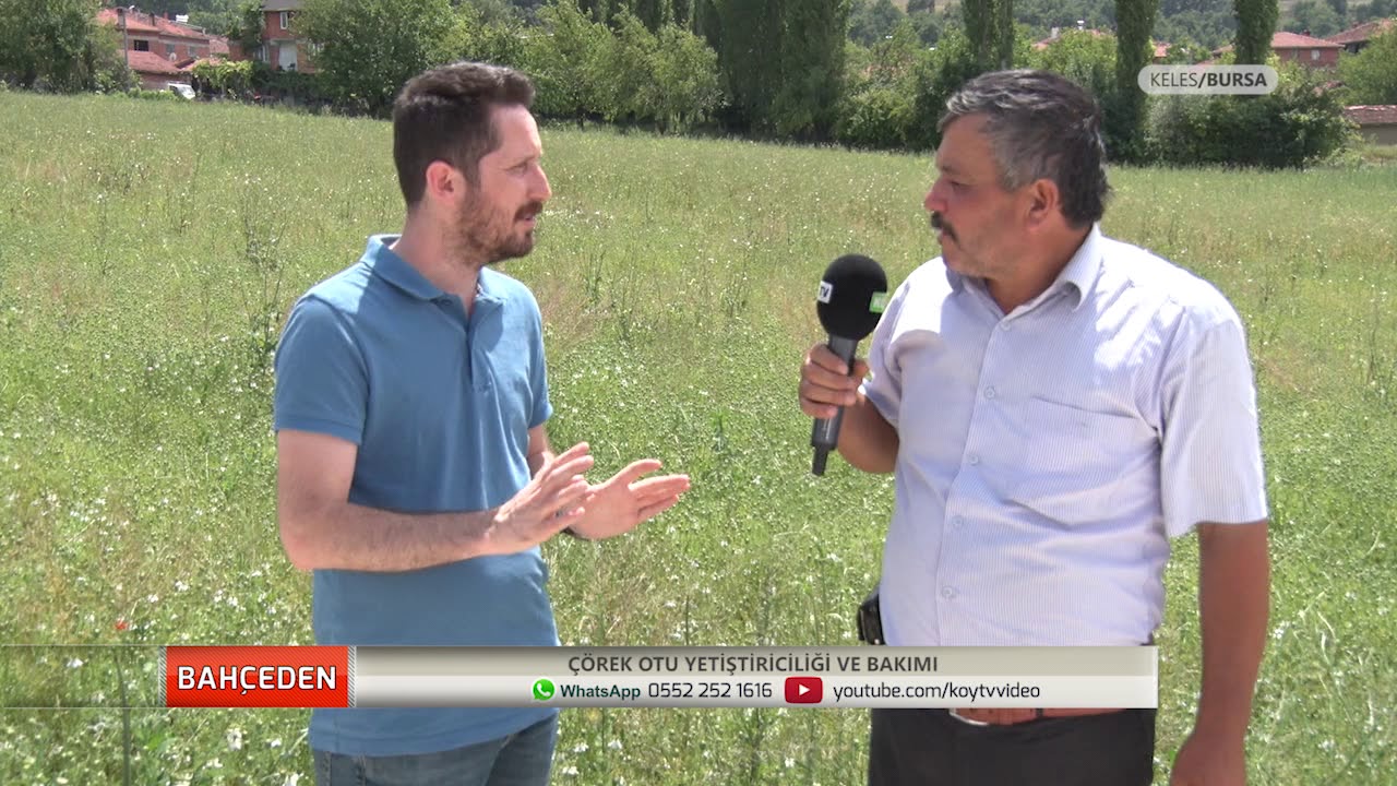 Çörek Otu Nasıl Yetiştirilir?