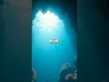 The Underwater Atlas The World’s Largest Living Structure