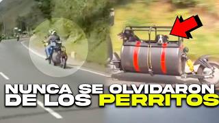 Esta Pareja No Quería Dejar Solos A Sus Perros Y Lo Que Hicieron Con Su Moto Sorprendió A Todos