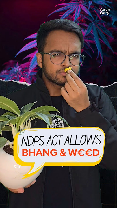 Day 4: ONLY in India - Ganja BAD, Bhang BLESSED!? #shorts #ndps #law