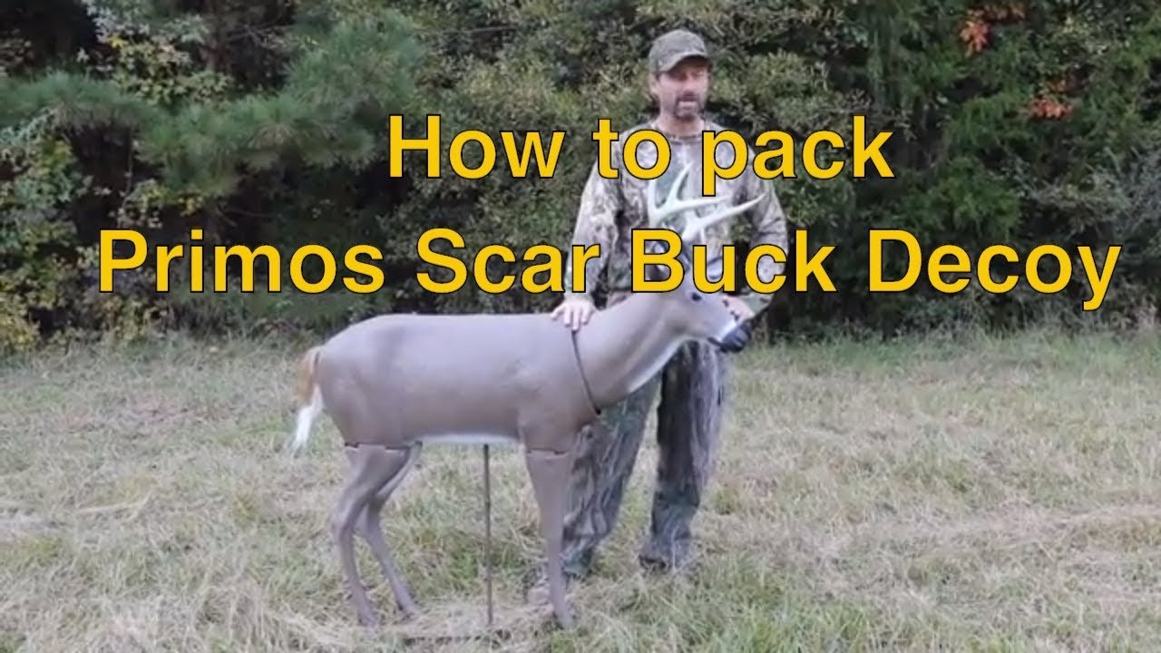 How to Pack Primos Scar Buck Decoy YouTube