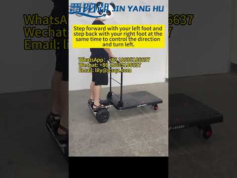 JIN YANG HU