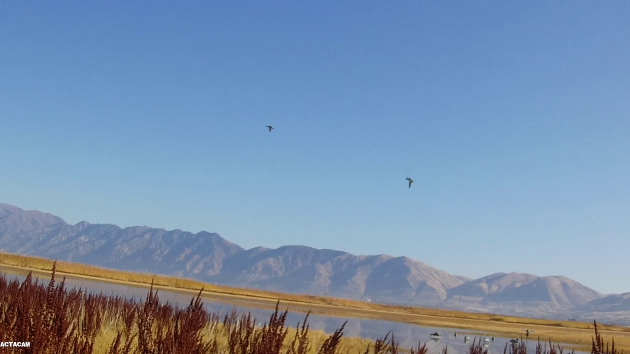 UTAH day 2 duck shoot 2019  TACTACAM 5.0 WIDE