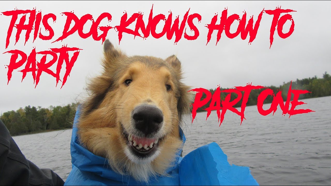 10 Days (Almost) Alone in the Wilderness -  Part 1 of 3