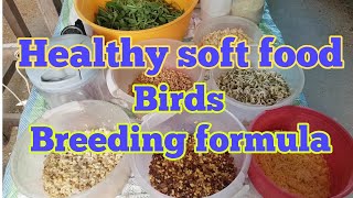 Details How to Lovebirds, cockatail, budgies, dove,java healthy soft food Guide