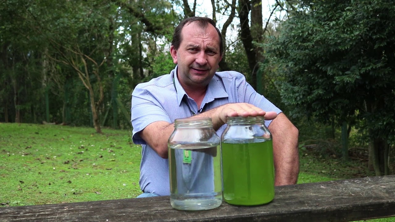 Peixe com gosto de lodo?