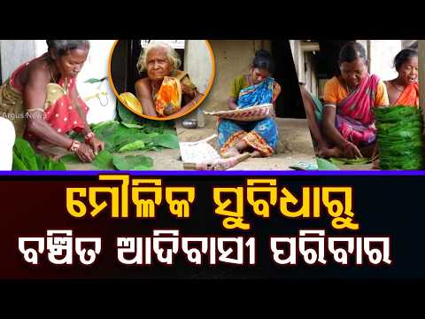 ମୌଳିକ ସୁବିଧାରୁ ବଞ୍ଚିତ ଆଦିବାସୀ ପରିବାର | Forgotten Juang Tribe: Struggles for Basic Rights |Argus News