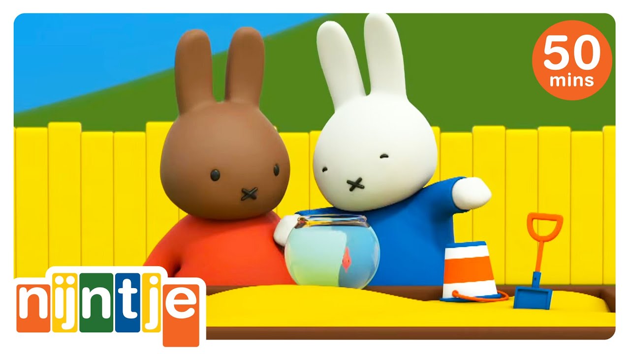 nijntje en de goudvis | nijntje | het beste van nijntje