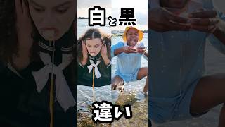 【白と黒の違い】海で卵見つけた時 #shorts #ダモ好き #スターラ