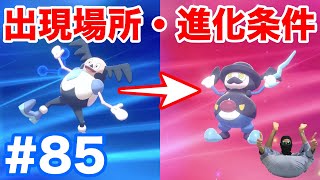 #85【ポケモンソード】