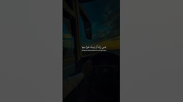 تلاوة خاشعة تبعث النور في قلبك – لا تفوتها