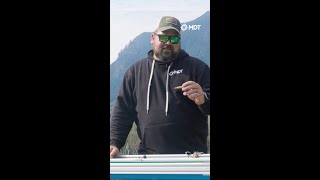 Famous .243 WIN Breakdown Wealth