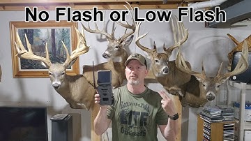 REVIEW SpyPoint Flex-S-Dark and Flex-Dark