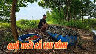 Đi Lấy Bèo Về Cho Ốc Với Hùng Và Thả Lưới Được Quá Trời Cá Lau Kính / Chuyện Của Đại