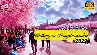 Walking in Kungsträgården in Stockholm 2022 4K| Spring in Sweden Volg| Travel to Sweden