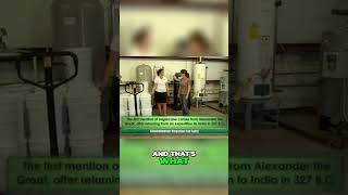 Calico Jack Tail Easy Rum Recipe Body Shots Eyecon Video Productions