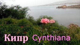 Видео КИПР/ Cynthiana окружающая красота, ужин (автор: Marina Morskaya)