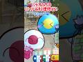 パラオたちのバイト&料理修行！〜クリスマス編〜 #ポーランドボール
