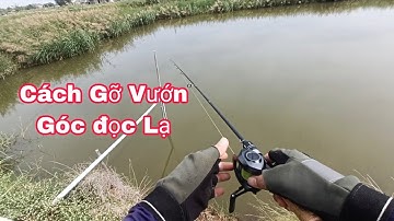 Trải Nghiệm Cần Koicap Máy Cemeo Dây X9 Shop Đồ Câu Đại Ngáo. Cách Gở Mồi Có 102.