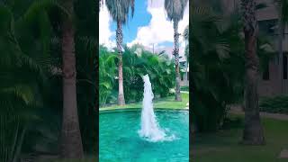 Гуляя по резиденции #mexico #travel #природныепейзажи #cancun #nature