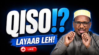 Qisooyin Yaab Leh! 5 Sheeko Cajiib ah oo Aad Ka Faa’iidi Doonto