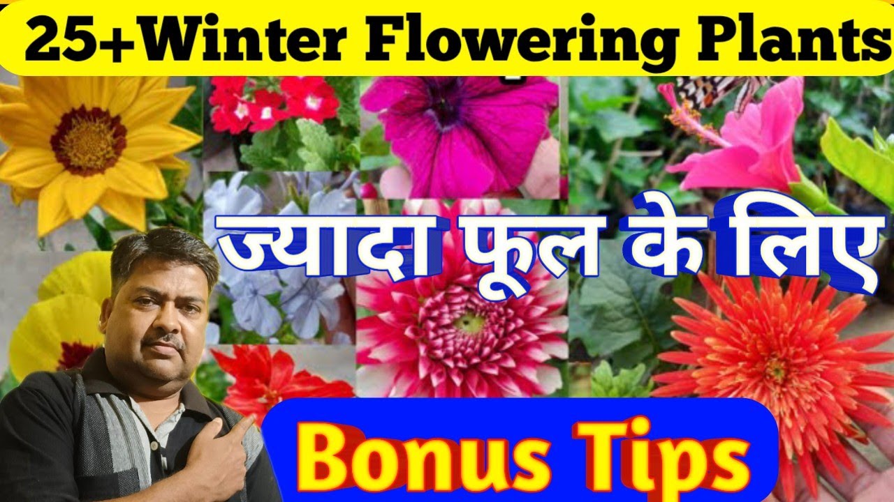 25+Winter Flowering Plants।with Bonus Tipsज्यादा फूल के लिए।Best plants