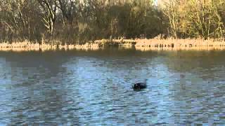 Angling Technics Baitboats Video Microcat Mk Iii Technicat