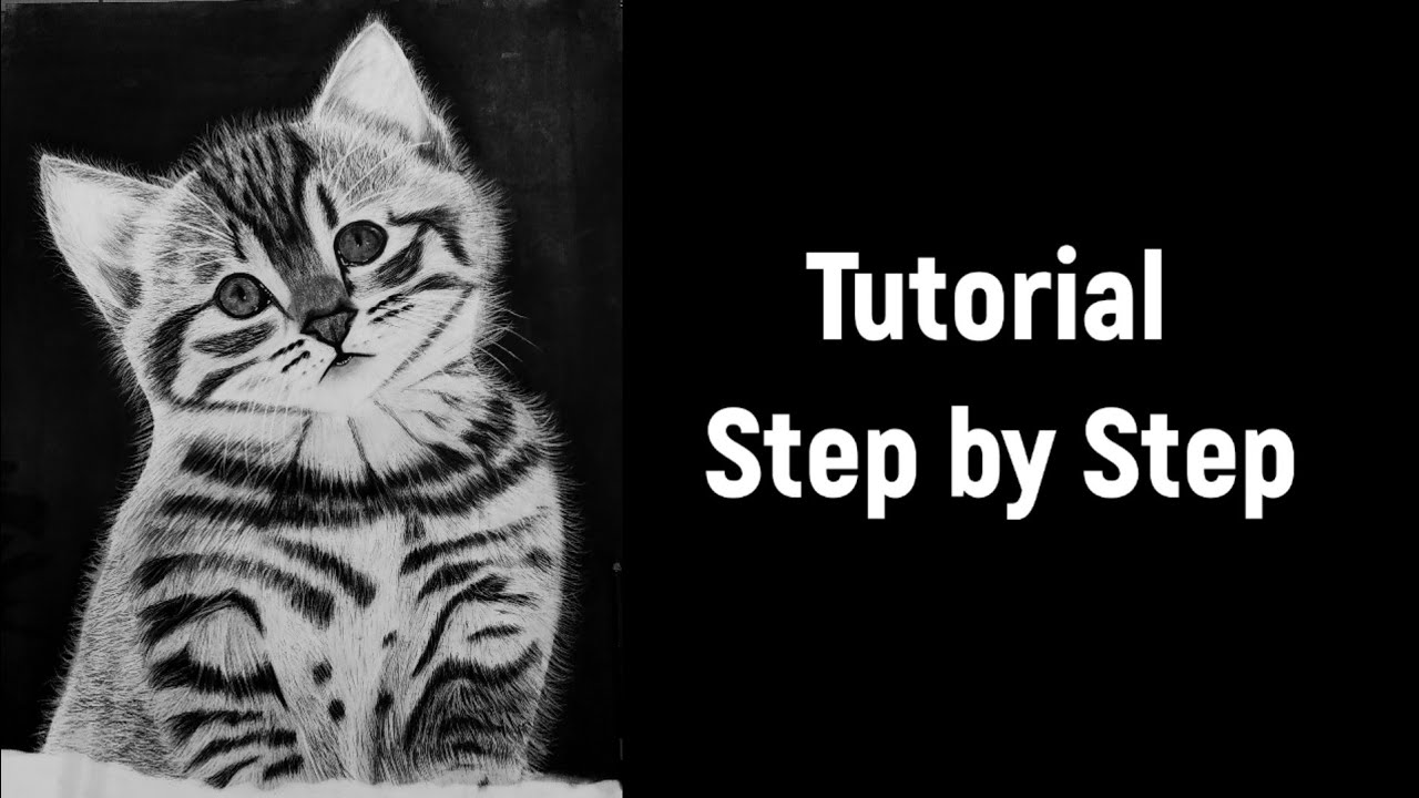 part-1 hyper realistic cat drawing (time slaps) #art - YouTube