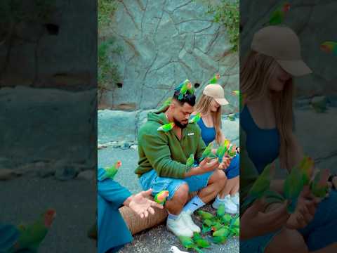 19 نوفمبر 2025