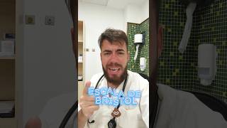 ESCALA DE BRISTOL: lo que dice tu 💩 sobre la salud de tu intestino 