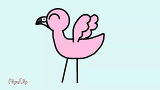 Flamingo MAP part 3