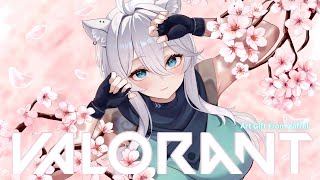 Rip aim【VALORANT - PONTHON #64】