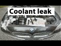 2012 BMW550i Coolant Leak