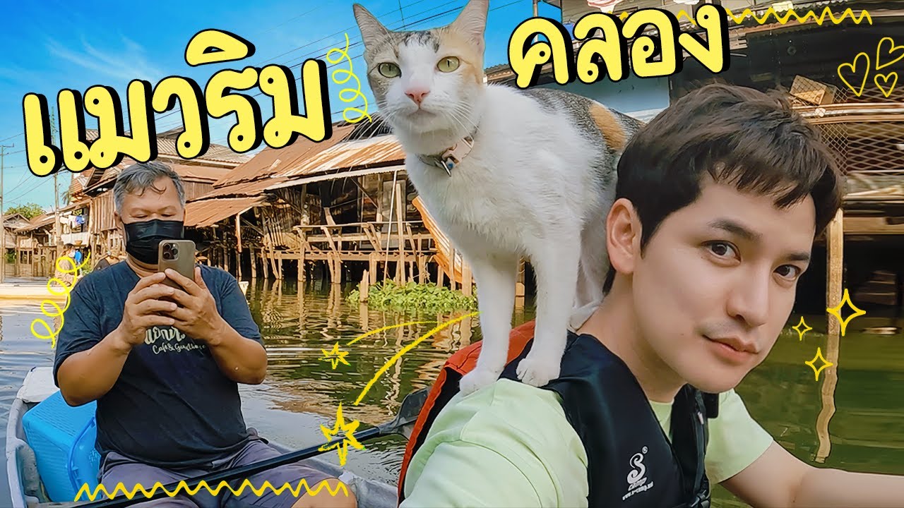 พายเรือกับเดอะแก๊งค์แมวริมคลอง 17ล้านวิว!  | ติดเต๋า