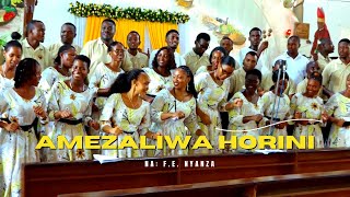 Amezaliwa Horini  Alois Gonzaga Kigamboni   Performance