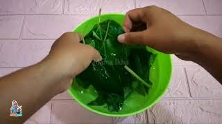 RAPET DAN WANGI !! Coba resep ini dijamin RAPET DAN WANGI- Cara merapatkan & mengharumkan miss v