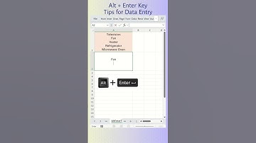 Alt plus Enter Key Tips for Data Entry in Excel