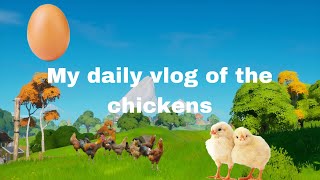 Daily Clog Of The Chickens