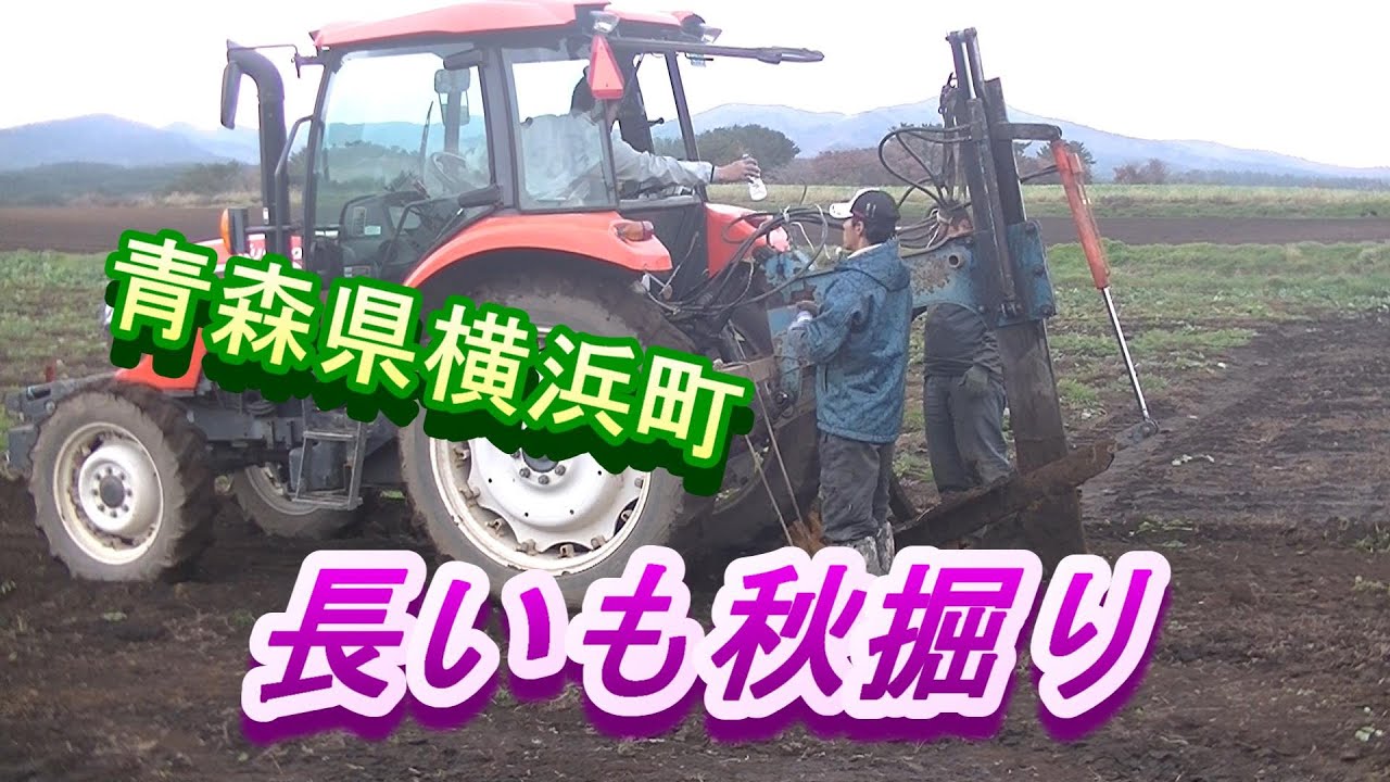 banana様専用 青森県産 掘りたて春堀り土付き長芋14