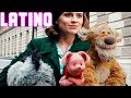 Christopher Robin: Un Reencuentro inolvidable (2018) Promos en Español Latino [HD] | Winnie the Pooh