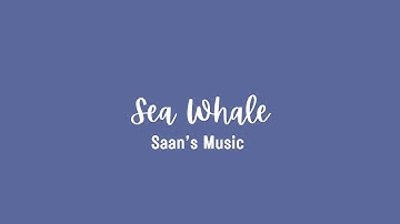 Sea Whale | Bastien Piano Basics Primer Level | Technic | Saan’s Music