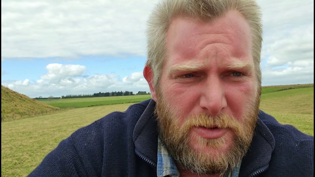 Time to shower the sheep.But which shampoo is best?