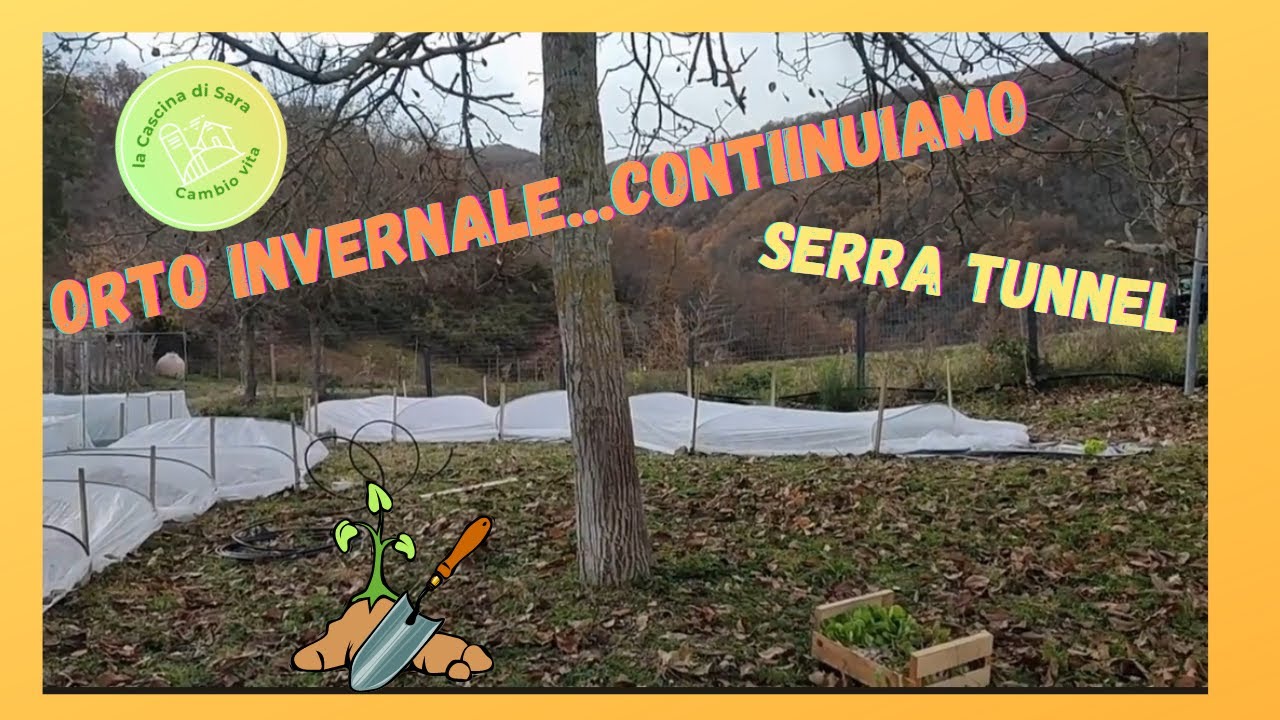 serre orto fai da te