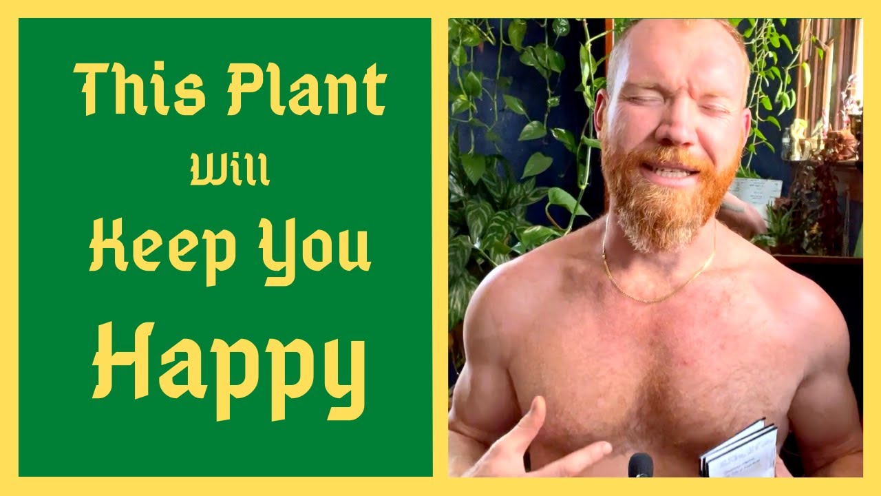 Best Food Security Crop - Grow This Plant For Guaranteed Calories