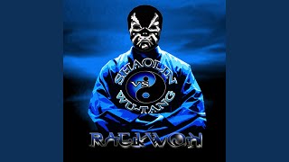 Shaolin Vs. Wu-Tang