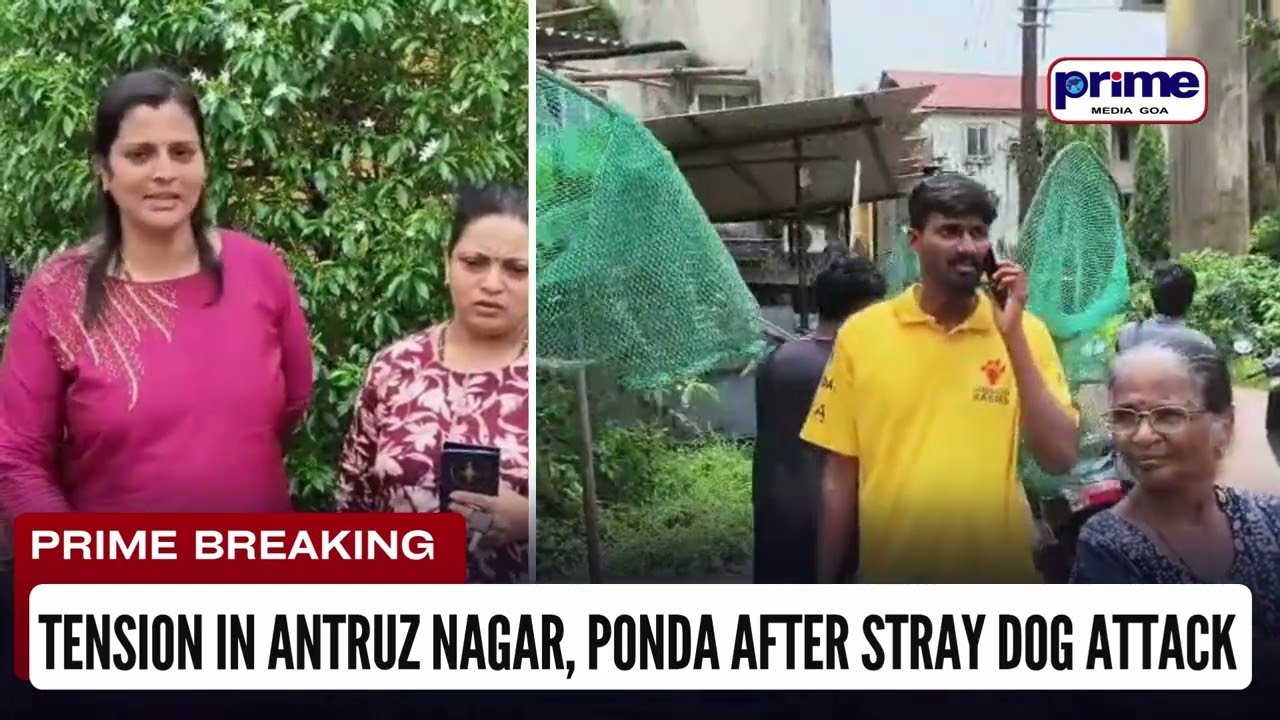 Tension in Antruz nagar, Ponda After Stray Dog Attack