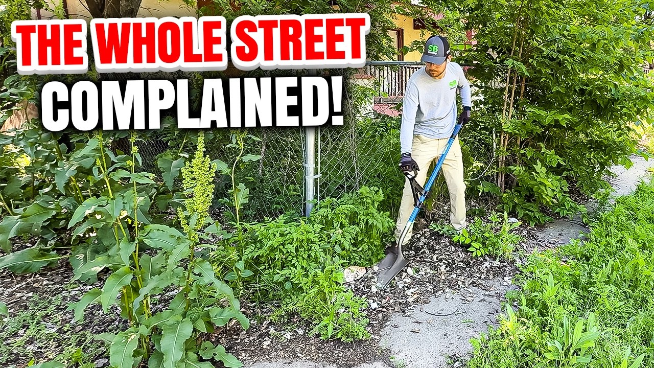 People had to STEP INTO TRAFFIC just to get by this house