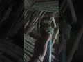 #construction #youtubeshorts