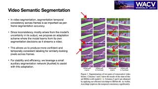 AuxAdapt: Stable and Efficient Test-Time Adaptation for Temporally Consistent Video Semantic Segmen Net Worth