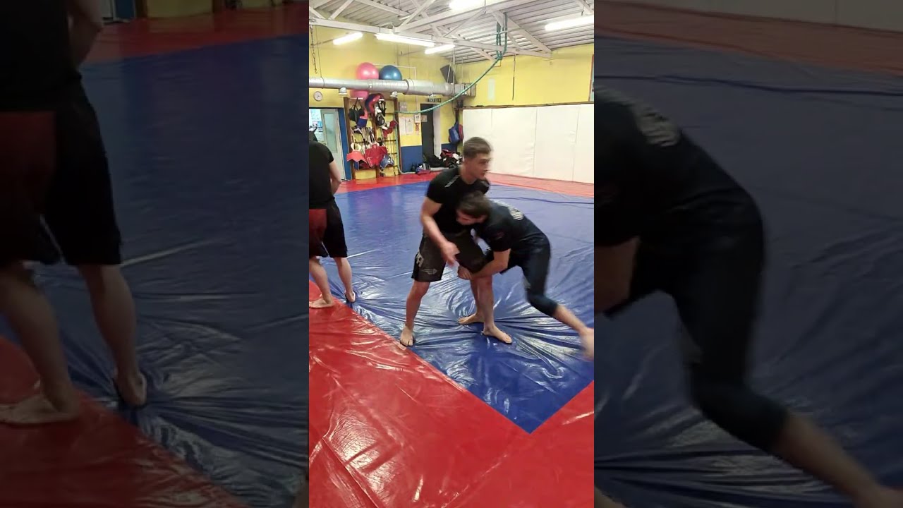 MMA Diary в прямом эфире!